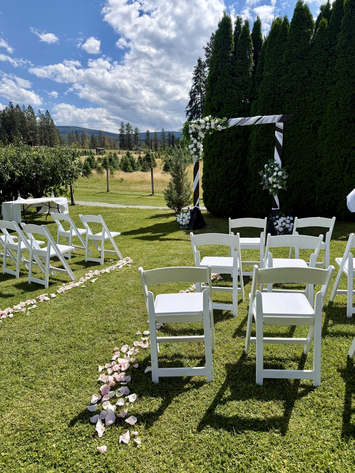 Wedding ceremony aisle lined with pink rose petals leading to the arch at Meadow Vista Honey Wines, Kelowna